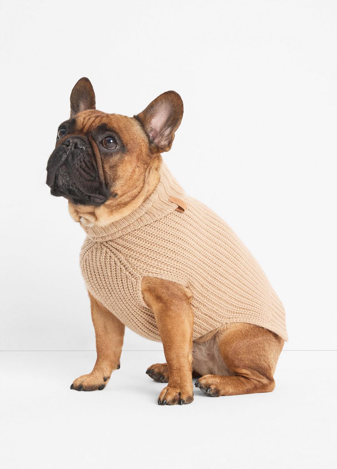 Wool and Cashmere Shaker-Stitch Dog Sweater in Dog Accessories | VINCE Women
